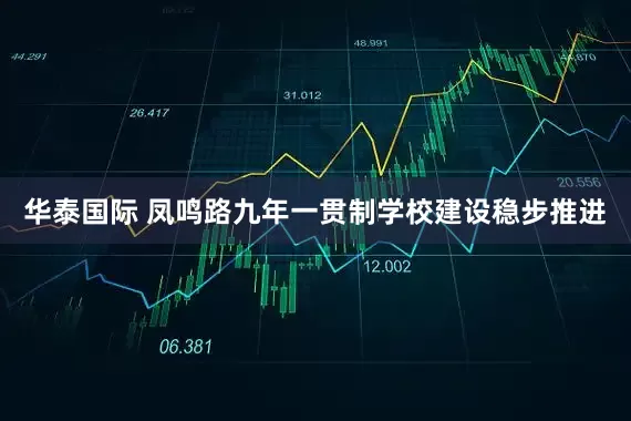 华泰国际 凤鸣路九年一贯制学校建设稳步推进