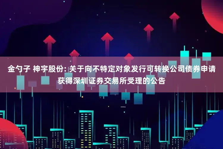 金勺子 神宇股份: 关于向不特定对象发行可转换公司债券申请获得深圳证券交易所受理的公告