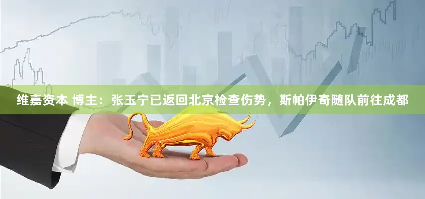 维嘉资本 博主：张玉宁已返回北京检查伤势，斯帕伊奇随队前往成都