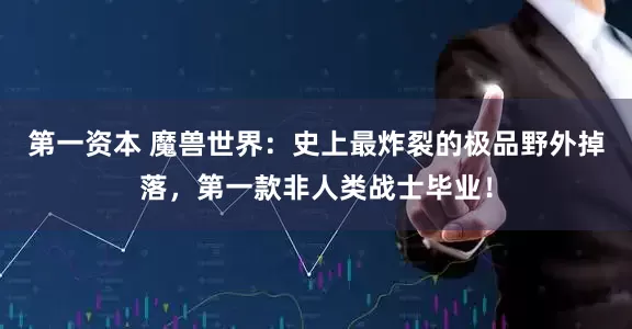 第一资本 魔兽世界：史上最炸裂的极品野外掉落，第一款非人类战士毕业！