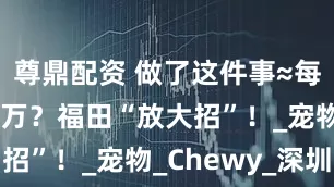尊鼎配资 做了这件事≈每年多赚65万？福田“放大招”！_宠物_Chewy_深圳