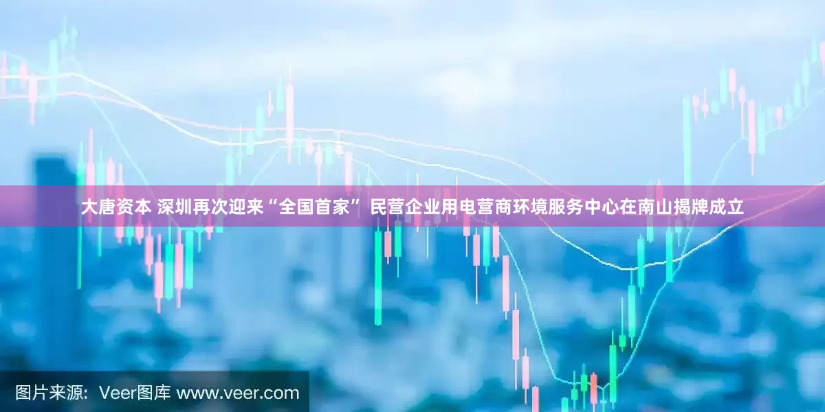 大唐资本 深圳再次迎来“全国首家” 民营企业用电营商环境服务中心在南山揭牌成立