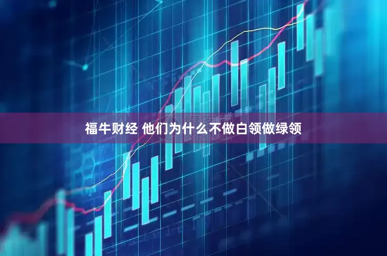 福牛财经 他们为什么不做白领做绿领